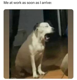 Me at work as soon as I arrive