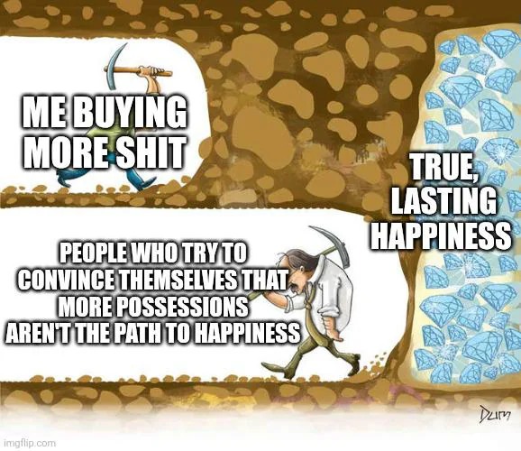 Me buying more shit meme explores true happiness and consumerism satire.