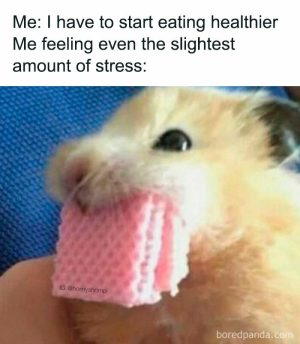 Me trying to eat healthy vs stress eating meme