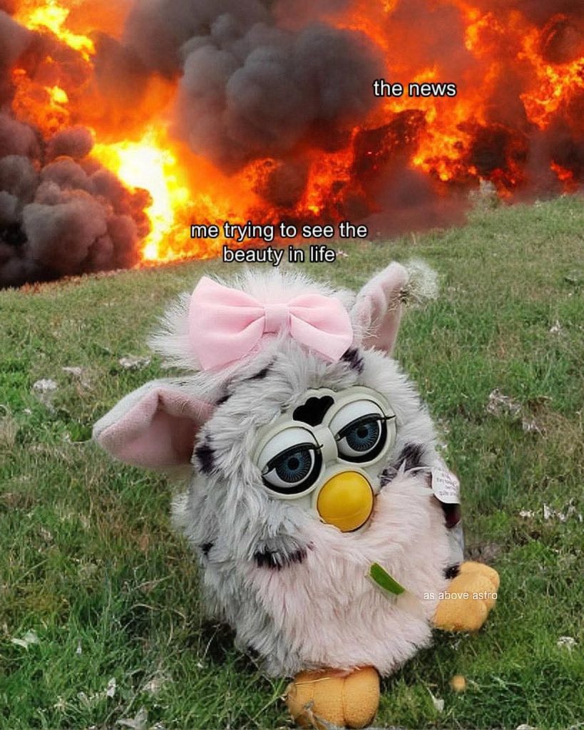 Me trying to see the beauty in life as the news burns