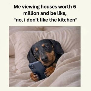 Me viewing houses worth 6 million and be like no i don't like the kitchen