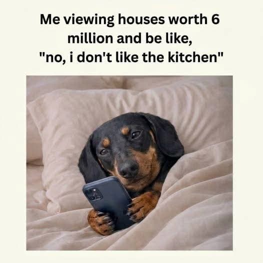 Me viewing houses worth 6 million and be like no i don't like the kitchen Me viewing houses worth 6 million and be like no i don't like the kitchen