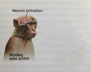 19 Neuron Activation Memes to Trigger Your Instant Dopamine Rush