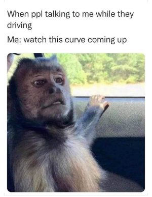 Monkey reacting to people talking while driving meme