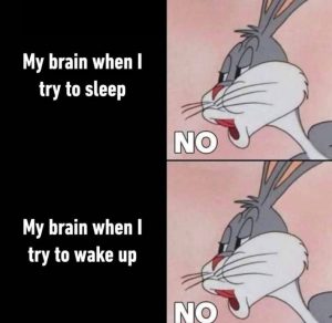 My brain when I try to sleep and wake up meme.