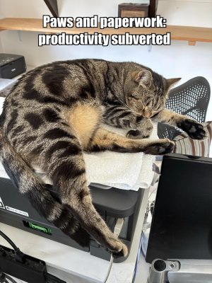 Paws and paper productivity subverted meme