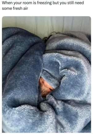 Room freezing but need fresh air
