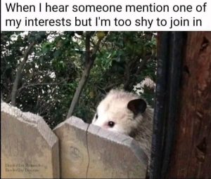 Shy to join in when hearing interests meme