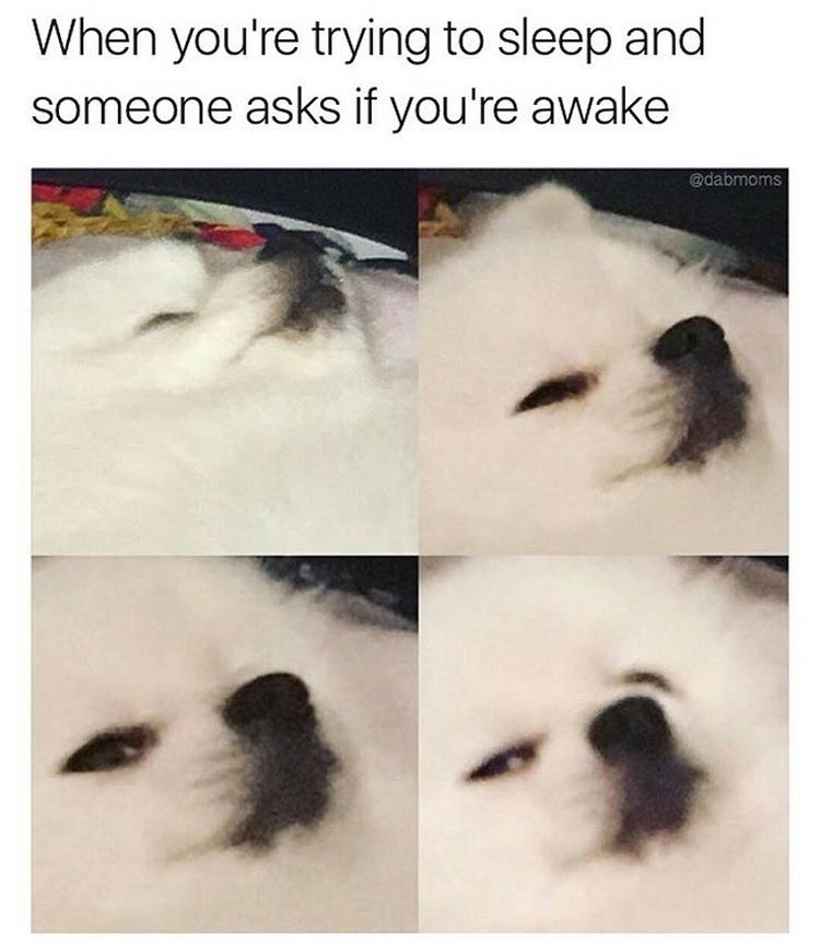 Sleeping and asked if awake meme