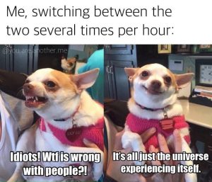 Switching between two attitudes per hour meme.