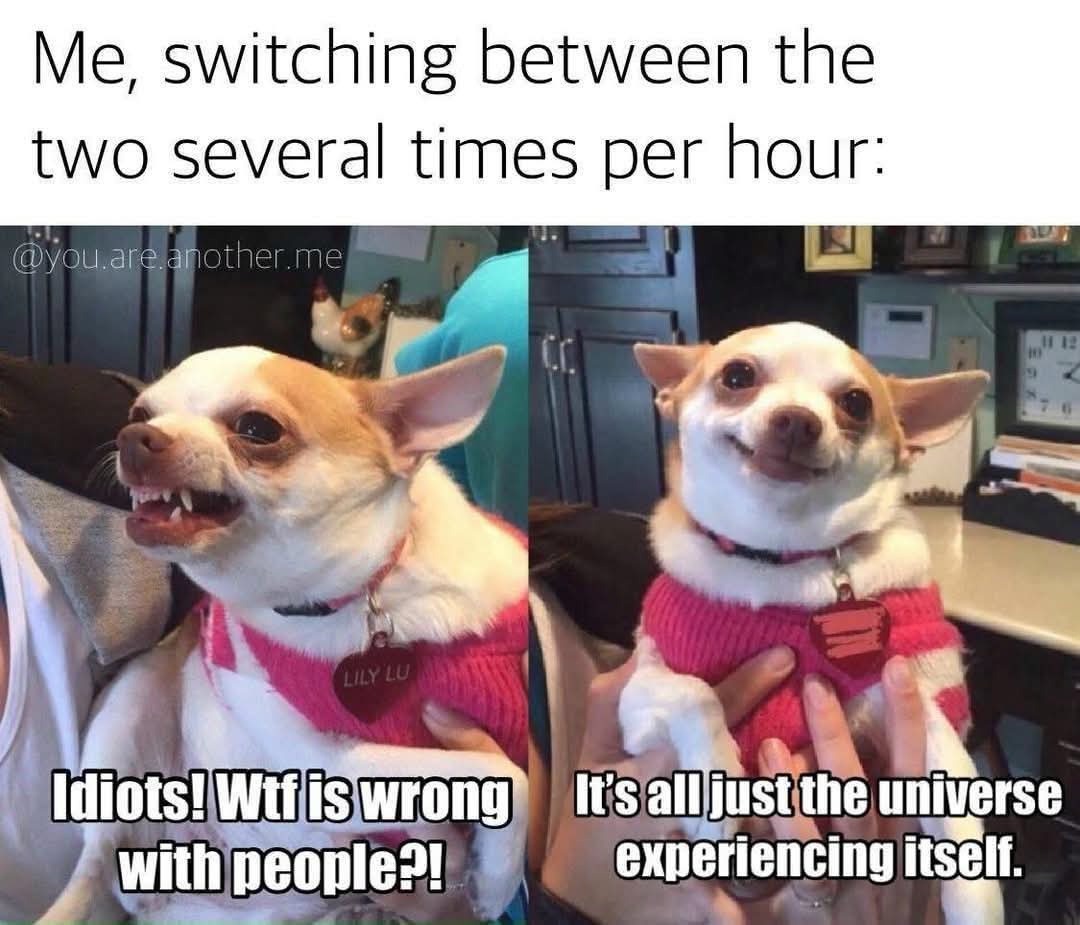 Switching between two attitudes per hour meme.