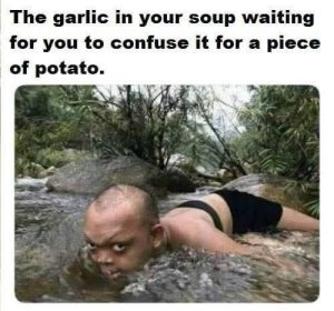 The garlic in your soup meme about mistaking it for potato