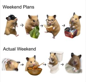 Weekend plans and actual weekend meme.