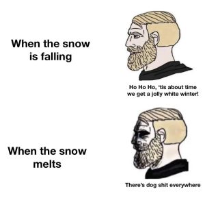 When the snow is falling and melts meme contrasting joyful and disgusted reactions