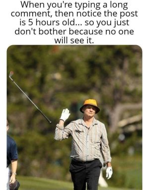 When you type a long comment on an old post meme