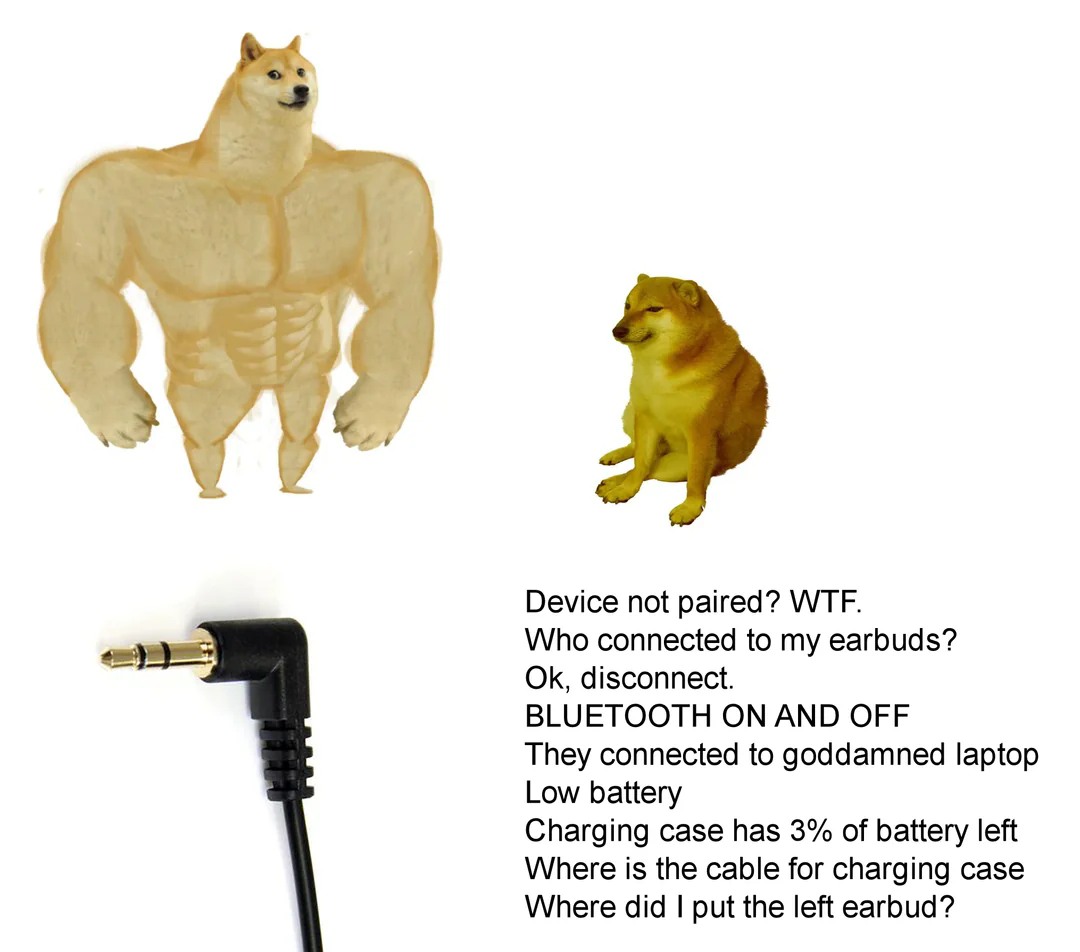 Wireless vs wired earbuds funny comparison