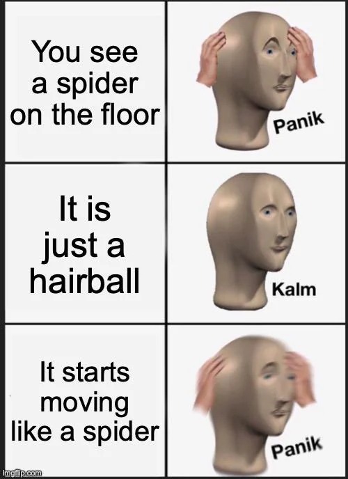 You see a spider on the floor