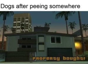 Dogs after peeing somewhere