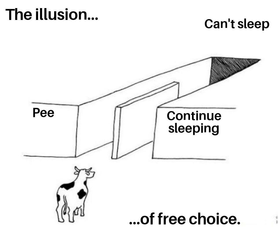 18 "Illusion of Choice" Meme Examples That Perfectly Explain a False Dilemma 18 "Illusion of Choice" Meme Examples That Perfectly Explain a False Dilemma