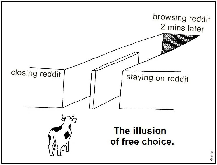 18 "Illusion of Choice" Meme Examples That Perfectly Explain a False Dilemma 18 "Illusion of Choice" Meme Examples That Perfectly Explain a False Dilemma