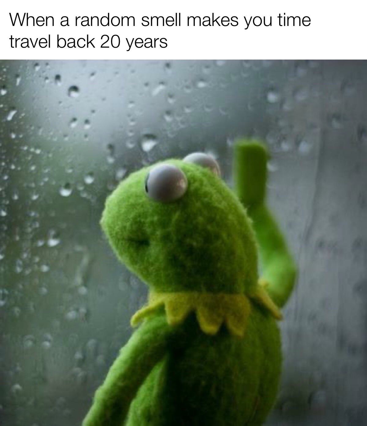 23 Kermit Window Meme Examples & Templates to Capture Your Quietest Moments 23 Kermit Window Meme Examples & Templates to Capture Your Quietest Moments