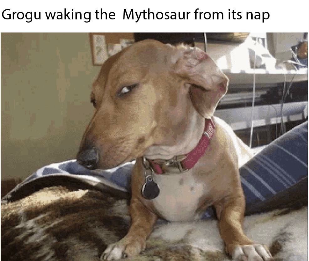 17 Suspicious Dog Memes That Perfectly Capture Your "Sus" Side-Eye Energy