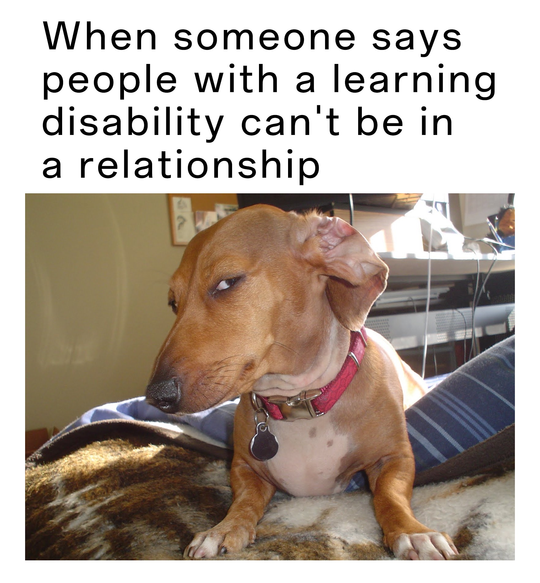 17 Suspicious Dog Memes That Perfectly Capture Your "Sus" Side-Eye Energy