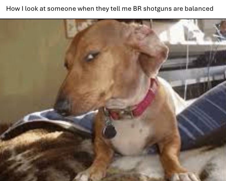 17 Suspicious Dog Memes That Perfectly Capture Your "Sus" Side-Eye Energy