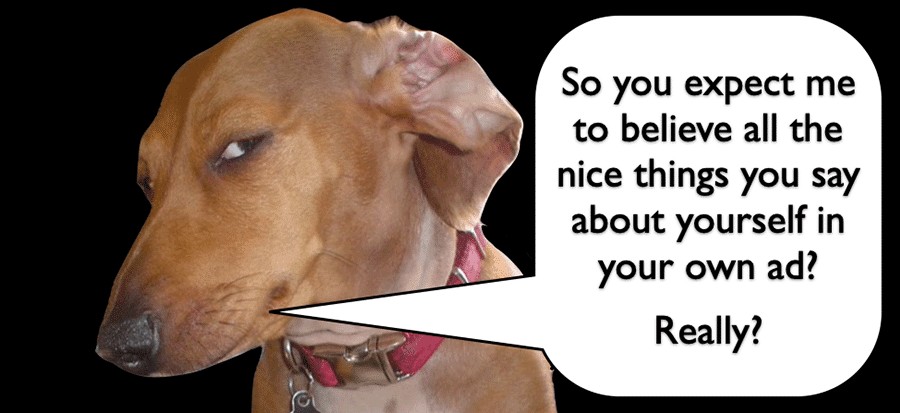 17 Suspicious Dog Memes That Perfectly Capture Your "Sus" Side-Eye Energy