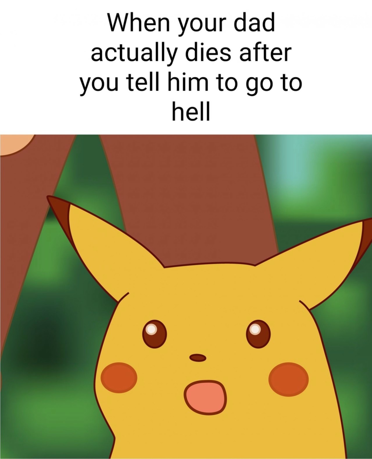 19 Surprised Pikachu Memes For When You’re Genuinely Shocked By Your Own Poor Decisions 19 Surprised Pikachu Memes For When You’re Genuinely Shocked By Your Own Poor Decisions