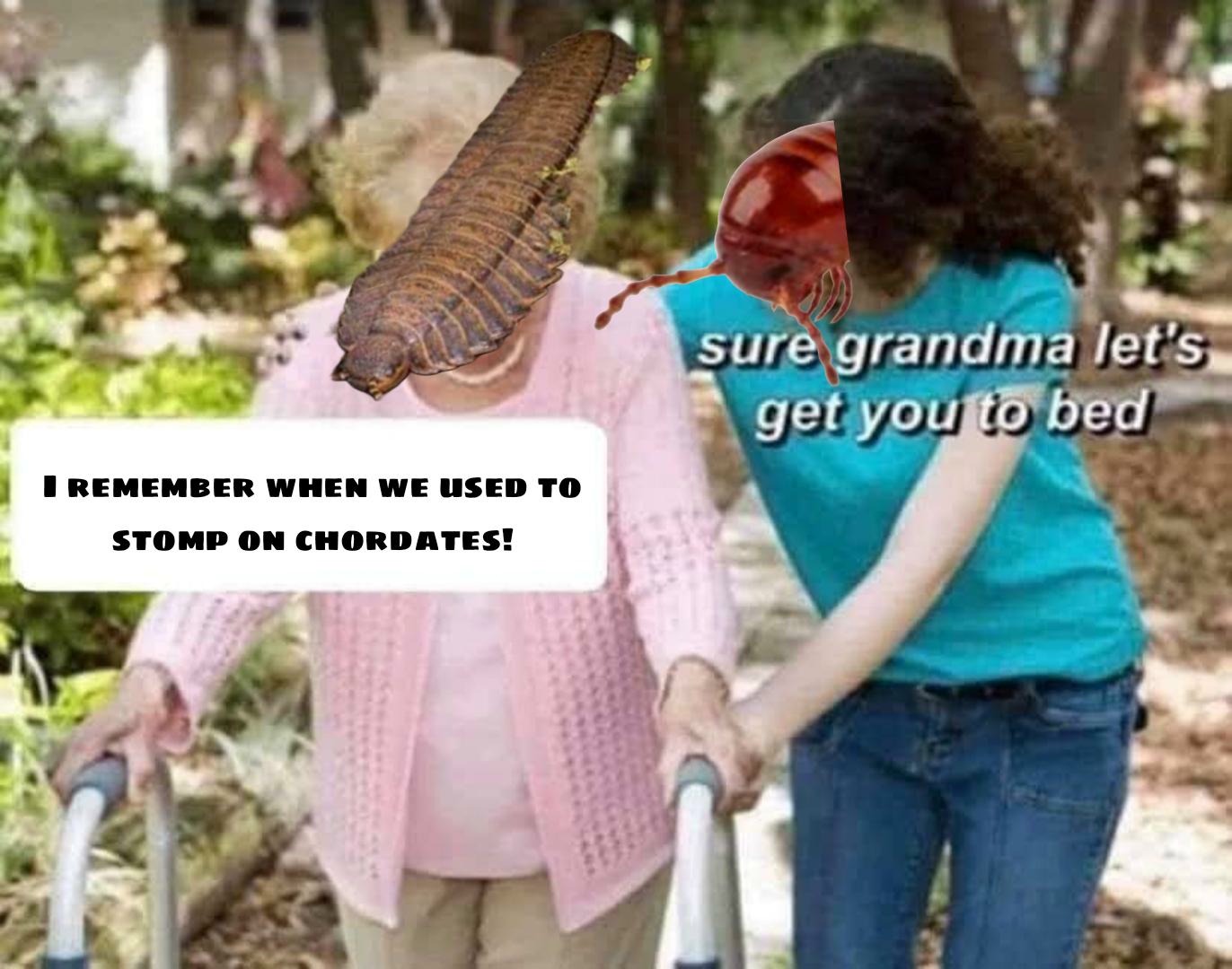 20 Nostalgic "Sure Grandma" Memes About Old Tech That Will Make You Feel Like a Fossil 20 Nostalgic "Sure Grandma" Memes About Old Tech That Will Make You Feel Like a Fossil