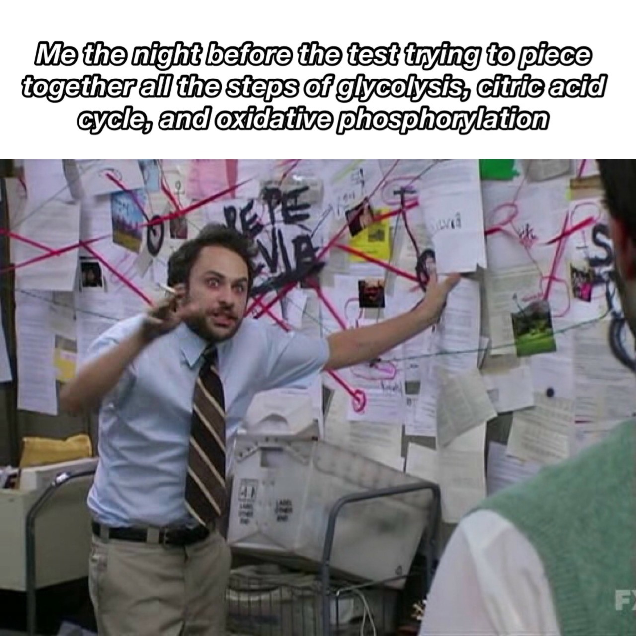 21 Pepe Silvia Memes For When Your Frantic Theories Actually Make Sense