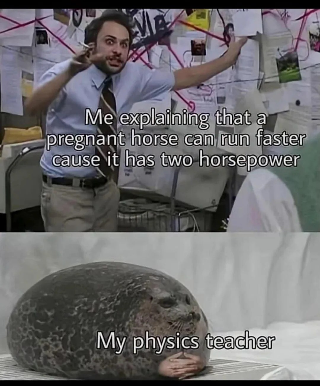 21 Pepe Silvia Memes For When Your Frantic Theories Actually Make Sense