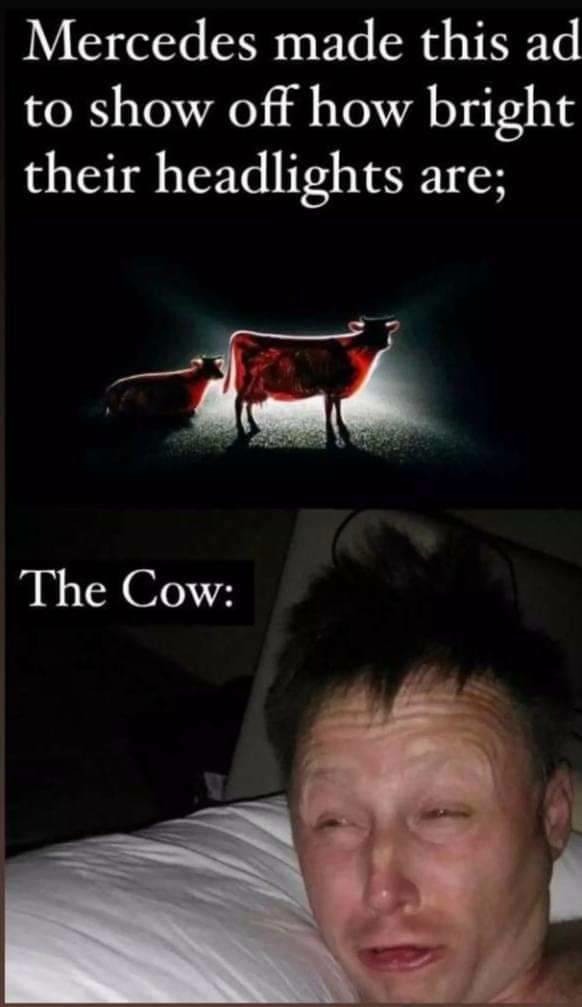 24 Times The "Limmy Waking Up" Meme Perfectly Described Post-Sleep Confusion