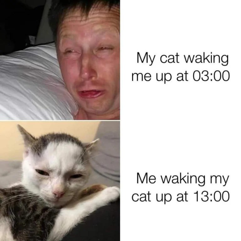 24 Times The "Limmy Waking Up" Meme Perfectly Described Post-Sleep Confusion