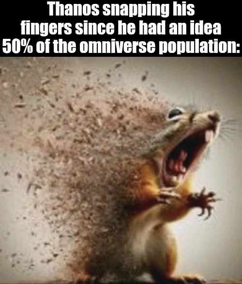 7 Squirrel Disintegrating Memes That Perfectly Capture Your Daily Existential Dread