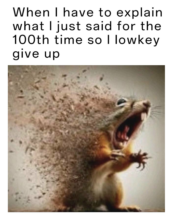 7 Squirrel Disintegrating Memes That Perfectly Capture Your Daily Existential Dread