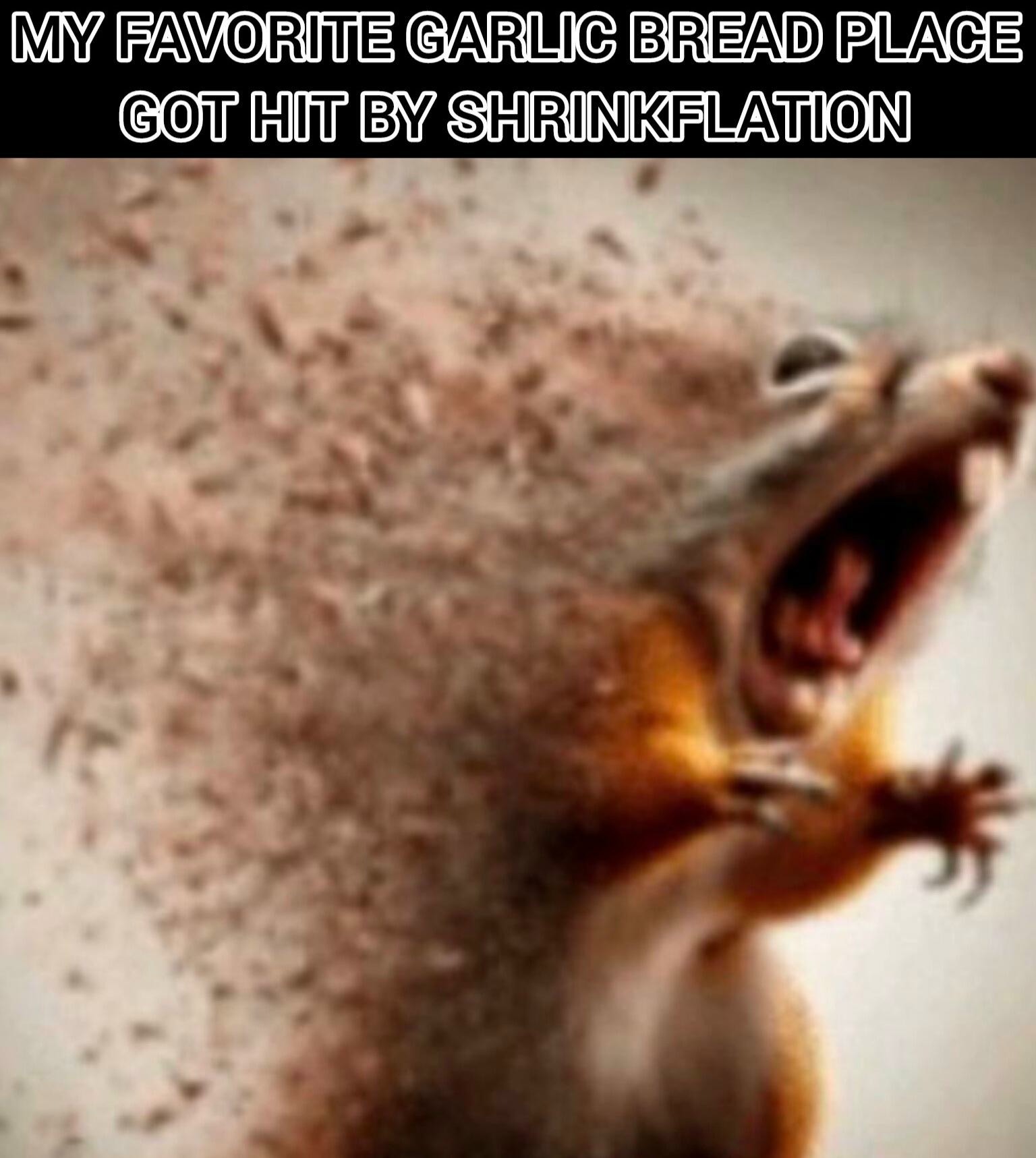 7 Squirrel Disintegrating Memes That Perfectly Capture Your Daily Existential Dread