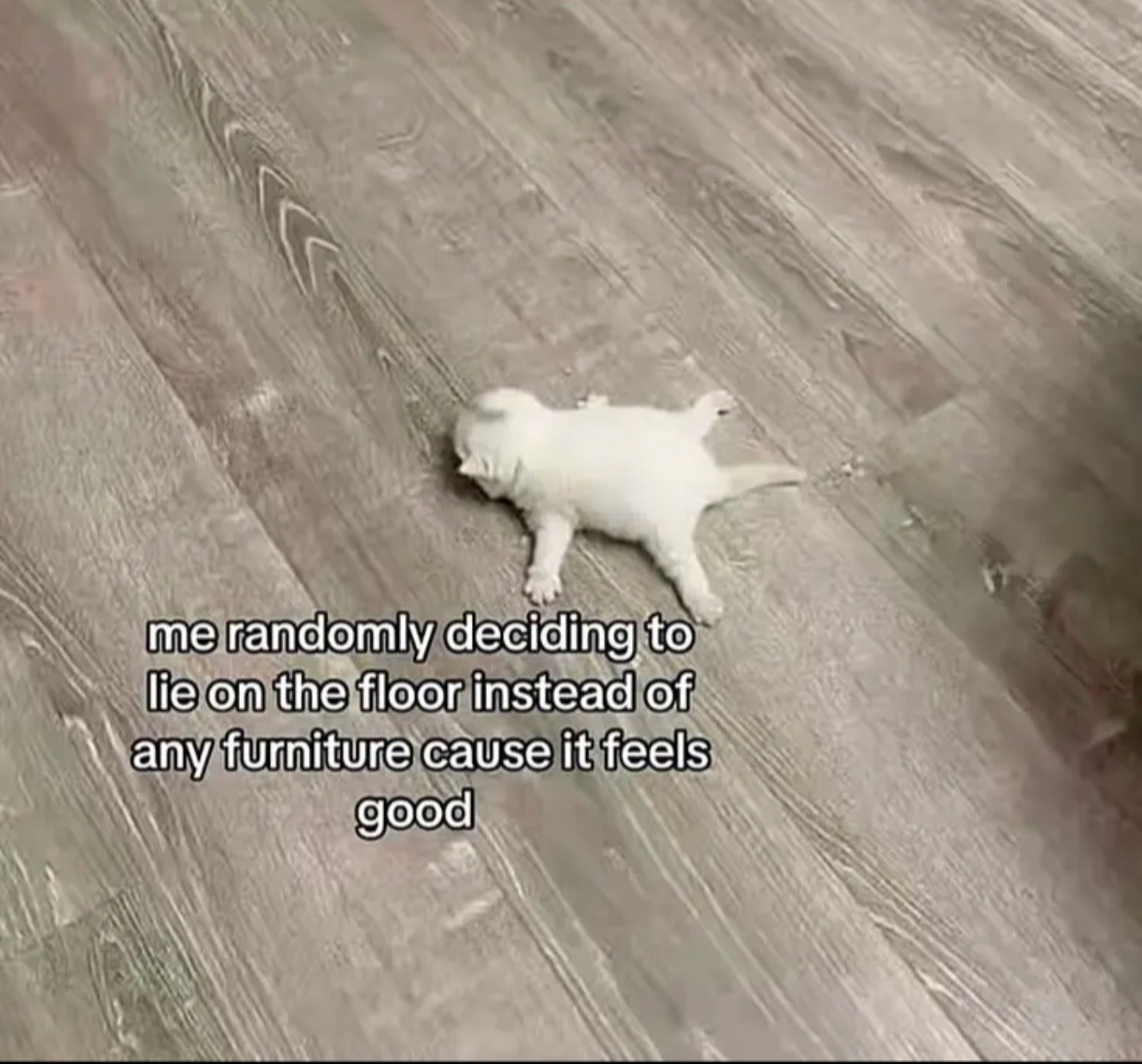 Me randomly deciding to lie on the floor instead of any furniture cause it feels good Me randomly deciding to lie on the floor instead of any furniture cause it feels good