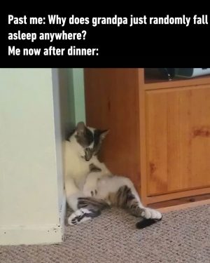 Why does grandpa randomly fall asleep anywhere