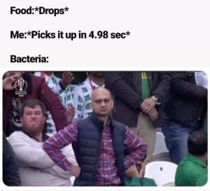 The 5-Second Rule Meme Bacteria’s Reaction To Picking Up Dropped Food