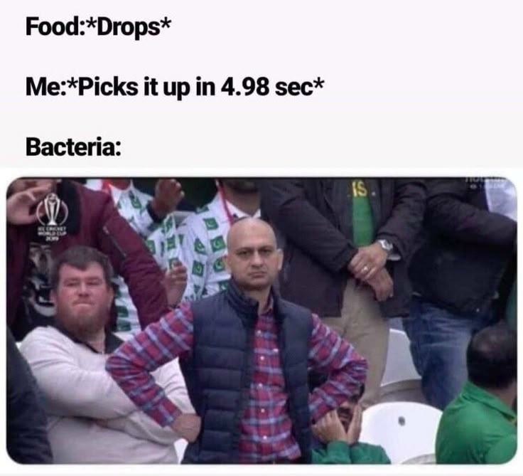 The 5-Second Rule Meme Bacteria’s Reaction To Picking Up Dropped Food