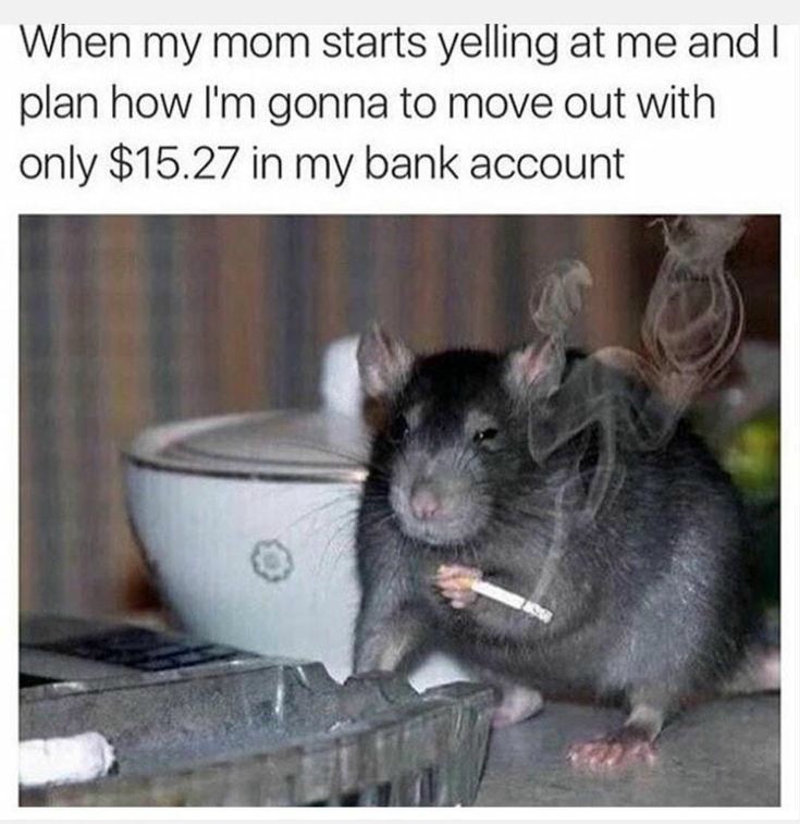 When my mom starts yelling at me When my mom starts yelling at me